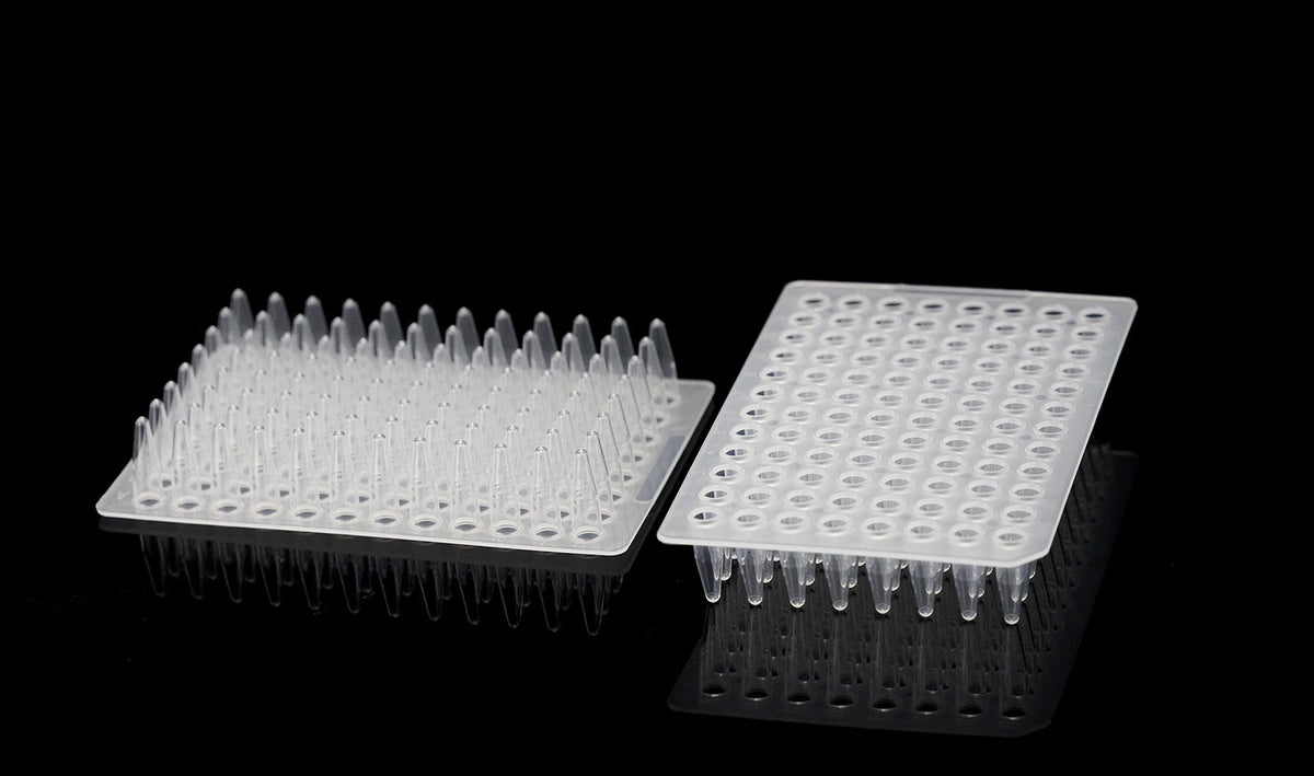 PCR 96-Well Plate, style 2